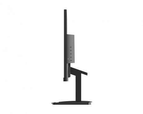 23.8 MSI PRO MP2412 FHD 1MS 100HZ FLAT VA 